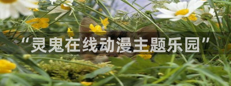 囧次元