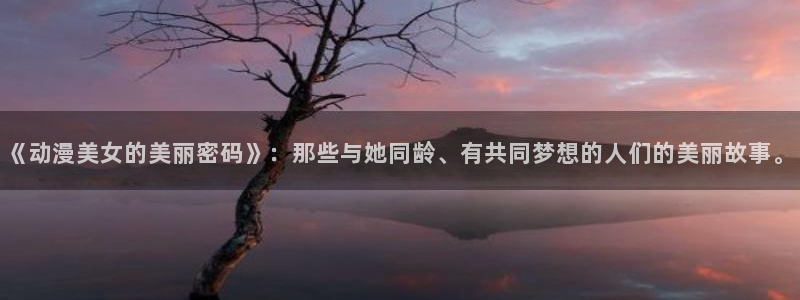 囧次元官网在线观看免费入口