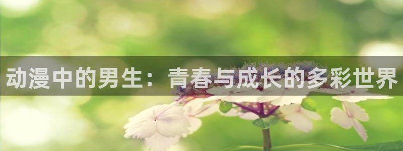 囧次元正版官方网址