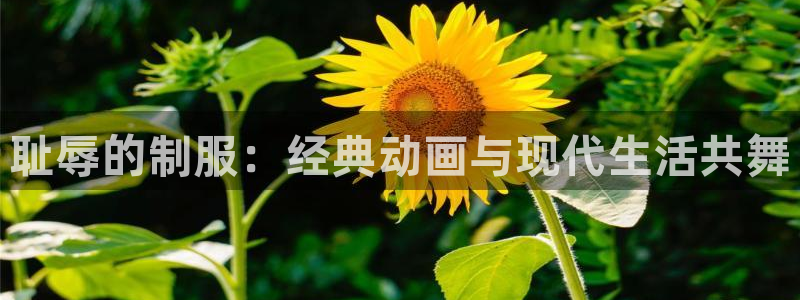 囧次元苹果版官方网站入口