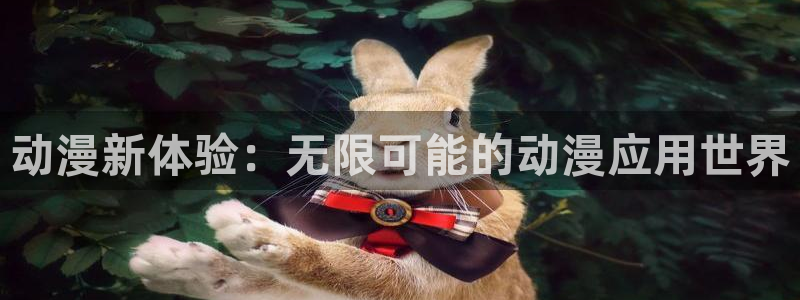 囧次元a