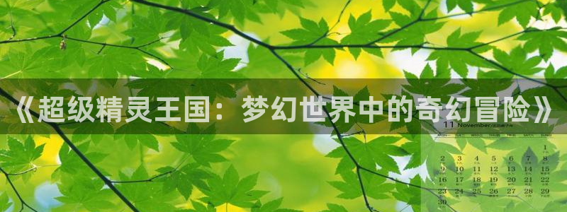 囧次元正版下载官方入口