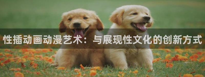 囧次元新版本下载
