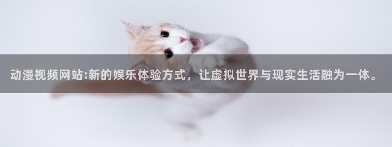 囧次元更新：动漫视频网站:新的娱乐体验方式，让虚拟世界与现实生活融为一体。