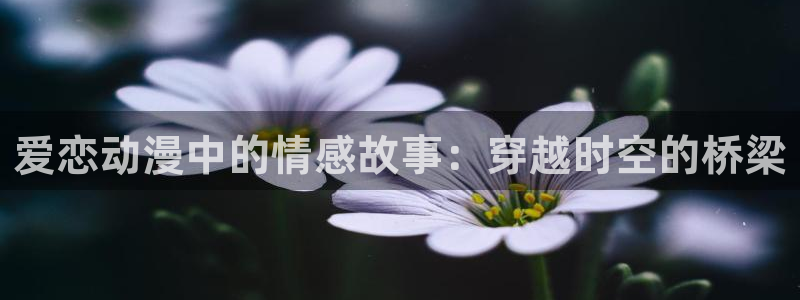 囧次元官网入口下载最新版