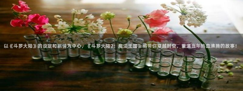 囧次元官方网站下载：以《斗罗大陆》的设定和剧情为中心，《斗罗大陆2：魔法王国》将带你穿越时空，重温当年热血沸腾的故事！