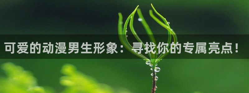 囧次元ios官网入口：可爱的动漫男生形象：寻找你的专属亮点！