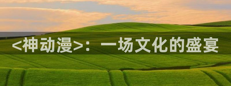 囧次元更新：<神动漫>：一场文化的盛宴