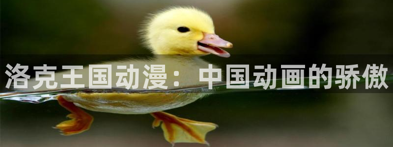 囧次元官方正版