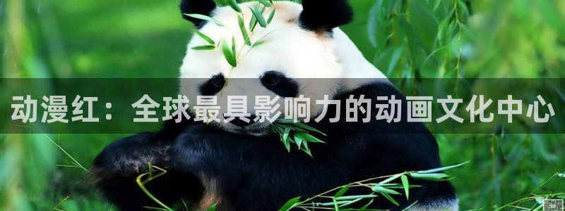 囧次元免费看动漫：动漫红：全球最具影响力的动画文化中心