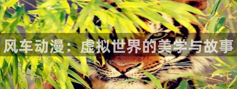 囧次元官方网站入口更新：风车动漫：虚拟世界的美学与故事