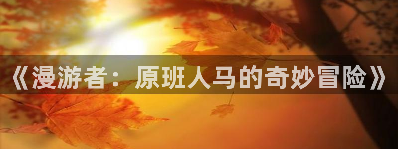 囧次元1.5.7.9官网入口：《漫游者：原班人马的奇妙冒险》