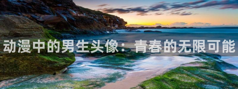 囧次元下载入口：动漫中的男生头像：青春的无限可能