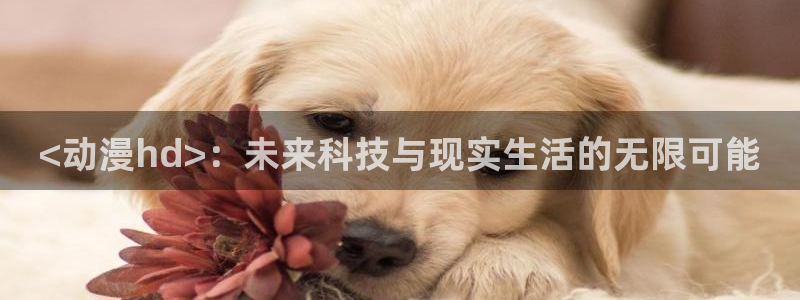 囧次元在线网站免费入口：<动漫hd>：未来科技与现实生活的无限可能