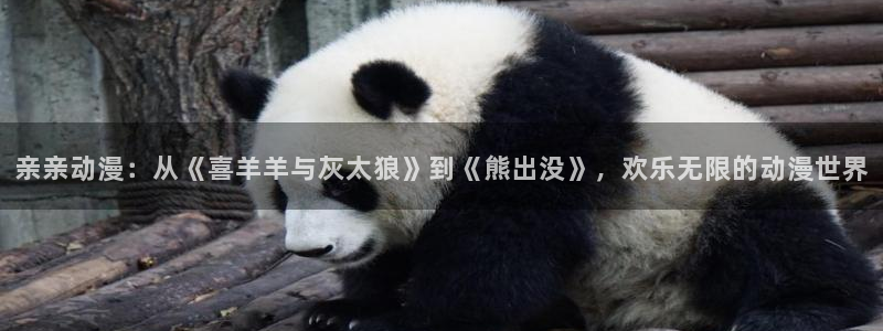 囧次元最新版下载：亲亲动漫：从《喜羊羊与灰太狼》到《熊出没》，欢乐无限的动漫世界