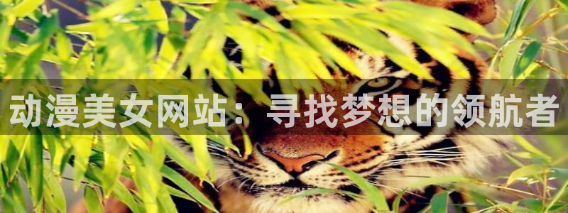 囧次元官方app下载：动漫美女网站：寻找梦想的领航者
