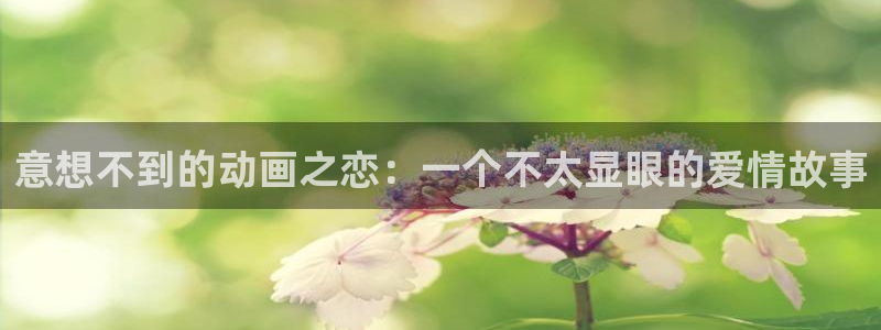 囧次元老版本：意想不到的动画之恋：一个不太显眼的爱情故事