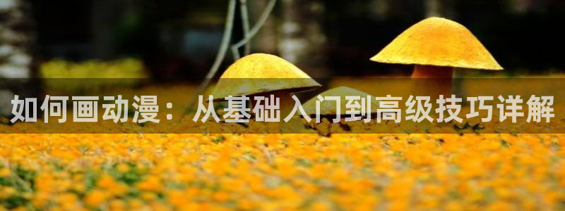 囧次元app正版下载官网：如何画动漫：从基础入门到高级技巧详解