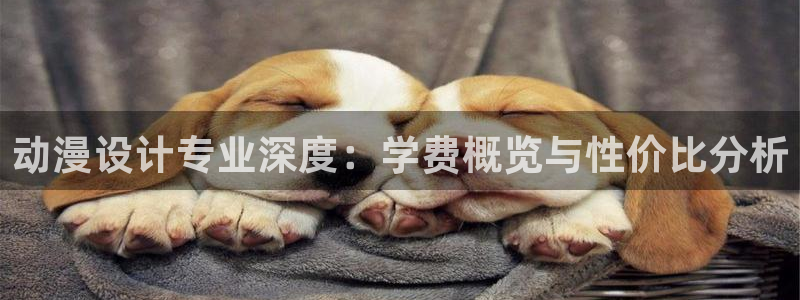 囧次元动漫：动漫设计专业深度：学费概览与性价比分析