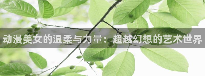 囧次元网址：动漫美女的温柔与力量：超越幻想的艺术世界