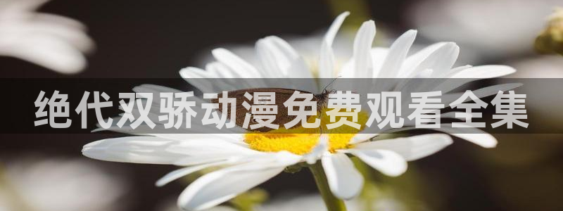 囧次元在线观看：绝代双骄动漫免费观看全集