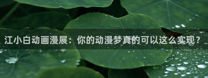 囧次元下载：江小白动画漫展：你的动漫梦真的可以这么实现？