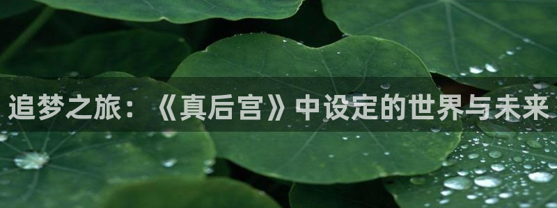 囧次元app官网下载：追梦之旅：《真后宫》中设定的世界与未来