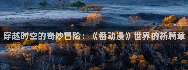 囧次元官方官网：穿越时空的奇妙冒险：《番动漫》世界的新篇章