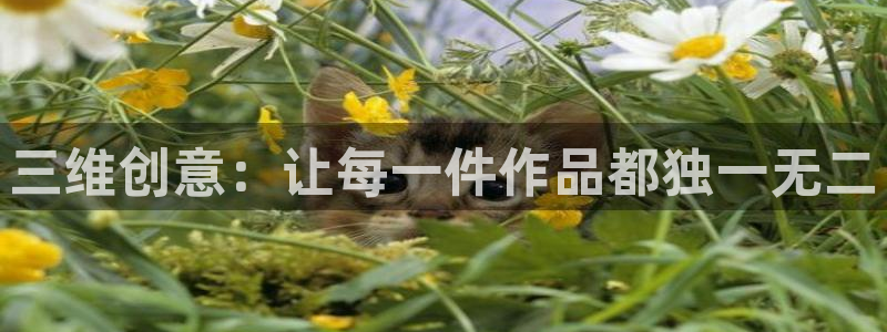 囧次元最新版：三维创意：让每一件作品都独一无二