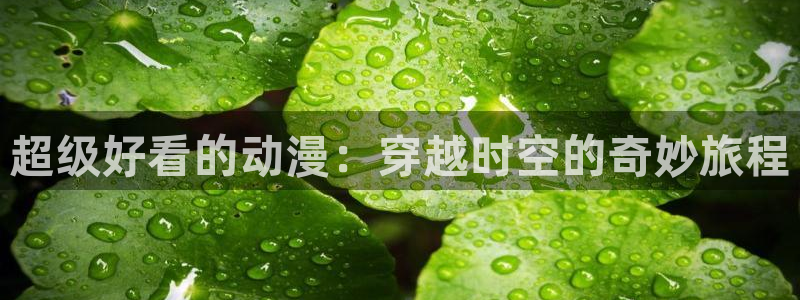囧次元网站官网下载：超级好看的动漫：穿越时空的奇妙旅程