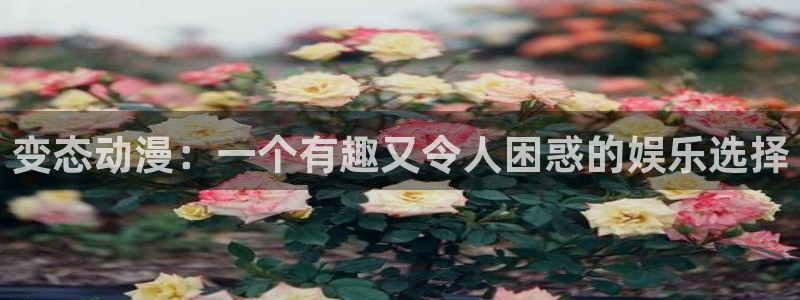 囧次元软件：变态动漫：一个有趣又令人困惑的娱乐选择