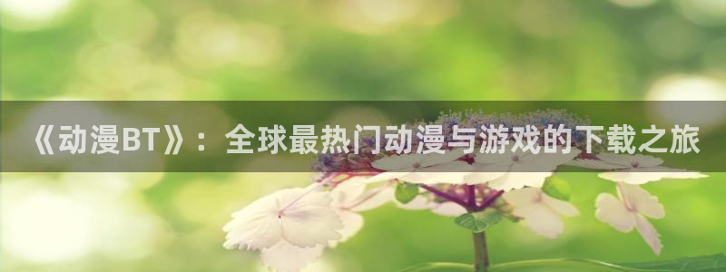 囧次元正版官方网址：《动漫BT》：全球最热门动漫与游戏的下载之旅
