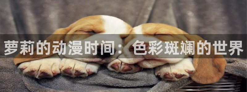 囧次元看动漫免费：萝莉的动漫时间：色彩斑斓的世界