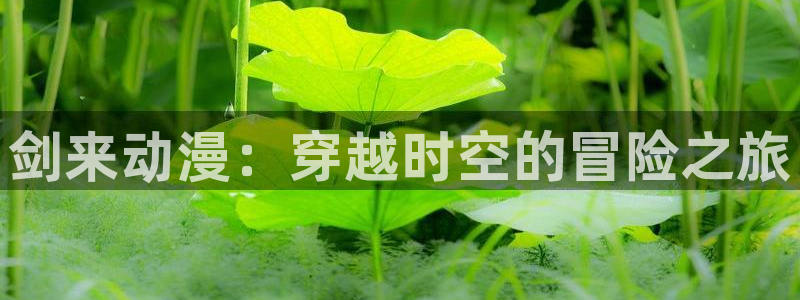 囧次元下载官网：剑来动漫：穿越时空的冒险之旅