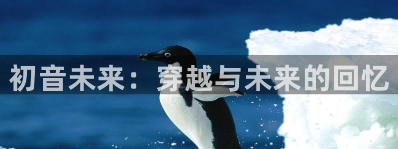 囧次元app下载：初音未来：穿越与未来的回忆