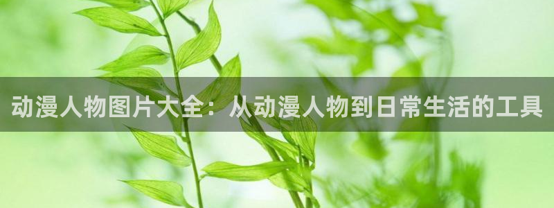 囧次元在线官网入口：动漫人物图片大全：从动漫人物到日常生活的工具