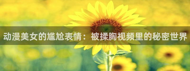 囧次元正版下载