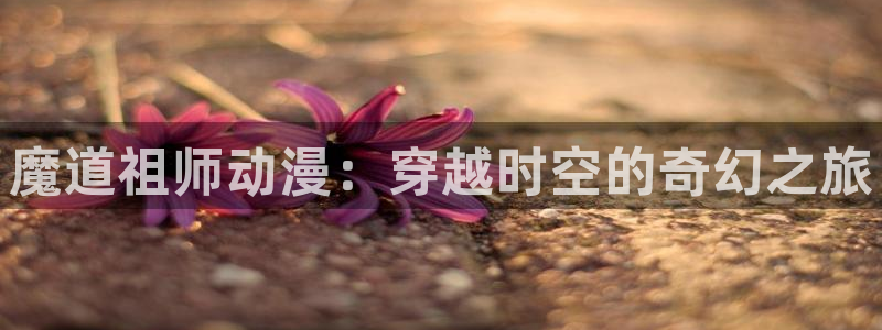 囧次元app正版下载链接：魔道祖师动漫：穿越时空的奇幻之旅