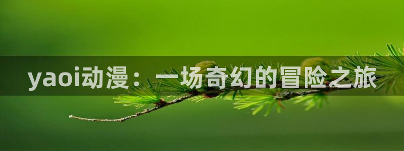 囧次元正版app下载：yaoi动漫：一场奇幻的冒险之旅