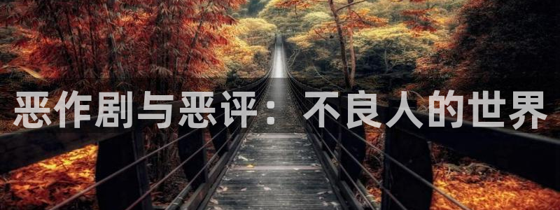囧次元网页版入口：恶作剧与恶评：不良人的世界