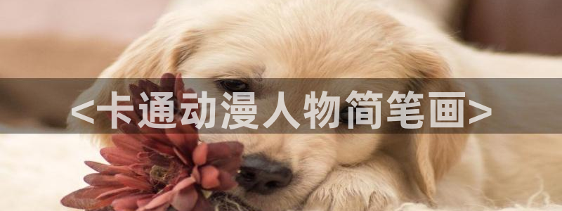 囧次元正版下载官方入口：<卡通动漫人物简笔画>
