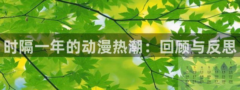 囧囧次元：时隔一年的动漫热潮：回顾与反思