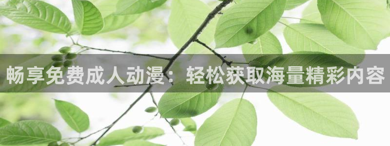 囧次元官网入口网址：畅享免费成人动漫：轻松获取海量精彩内容