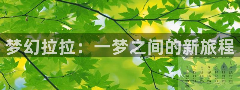 囧次元网站：梦幻拉拉：一梦之间的新旅程