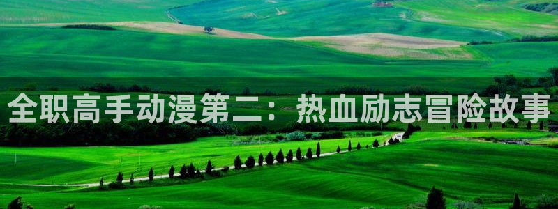 囧次元纯净版正版官网入口：全职高手动漫第二：热血励志冒险故事
