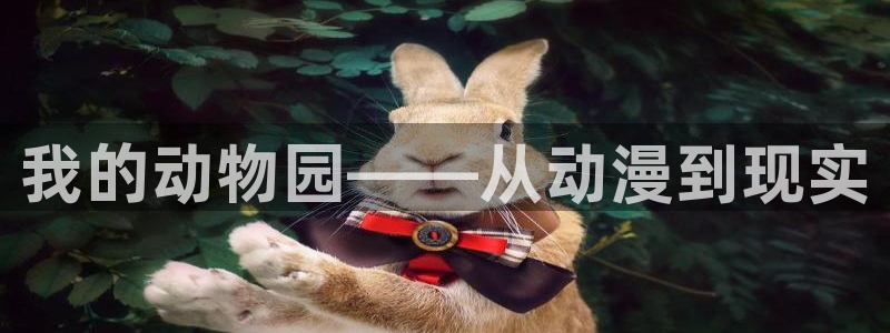 囧次元网站链接：我的动物园——从动漫到现实