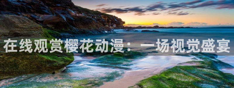 囧次元官方版：在线观赏樱花动漫：一场视觉盛宴