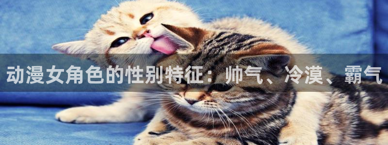 囧次元app官方：动漫女角色的性别特征：帅气、冷漠、霸气